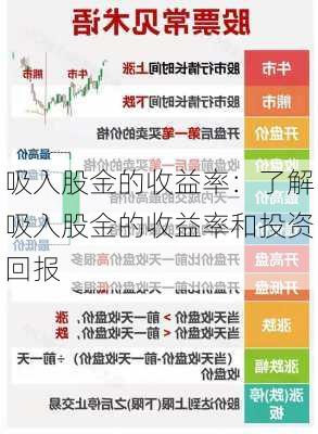 吸入股金的收益率：了解吸入股金的收益率和投资回报