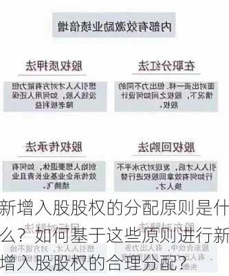 新增入股股权的分配原则是什么？如何基于这些原则进行新增入股股权的合理分配？