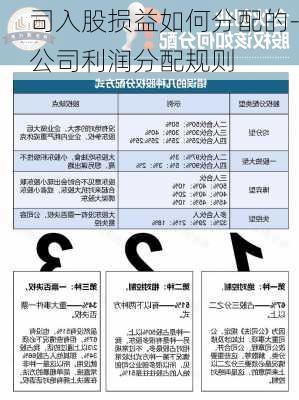 司入股损益如何分配的-公司利润分配规则