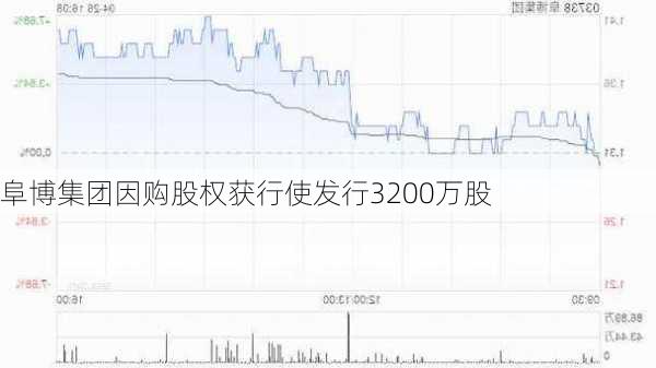 阜博集团因购股权获行使发行3200万股