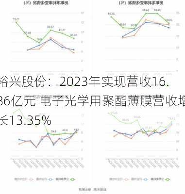 裕兴股份：2023年实现营收16.86亿元 电子光学用聚酯薄膜营收增长13.35%