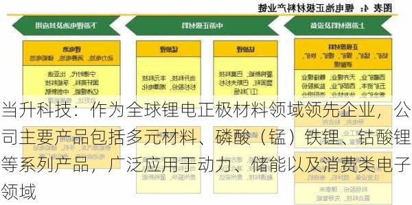 当升科技：作为全球锂电正极材料领域领先企业，公司主要产品包括多元材料、磷酸（锰）铁锂、钴酸锂等系列产品，广泛应用于动力、储能以及消费类电子领域