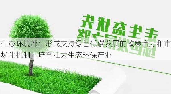 生态环境部：形成支持绿色低碳发展的政策合力和市场化机制，培育壮大生态环保产业