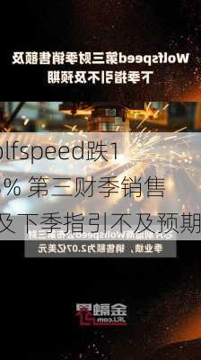 Wolfspeed跌14.3% 第三财季销售额及下季指引不及预期