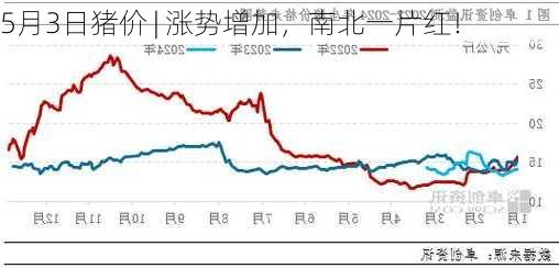 5月3日猪价 | 涨势增加，南北一片红！