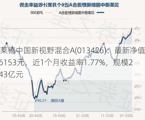 贝莱德中国新视野混合A(013426)：最新净值0.6153元，近1个月收益率1.77%，规模22.43亿元