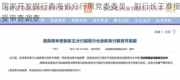 国家开发银行青海省分行原党委委员、副行长王准接受审查调查