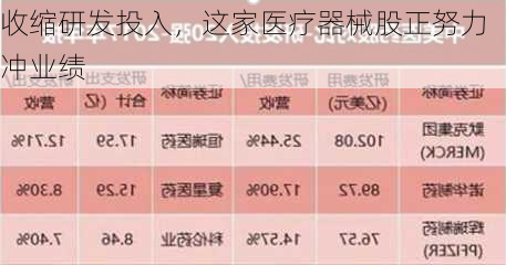 收缩研发投入，这家医疗器械股正努力冲业绩