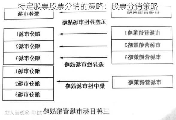 特定股票股票分销的策略：股票分销策略