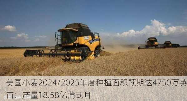 美国小麦2024/2025年度种植面积预期达4750万英亩：产量18.58亿蒲式耳