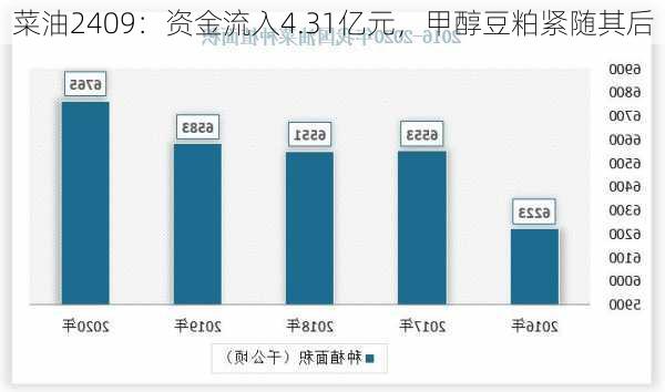 菜油2409：资金流入4.31亿元，甲醇豆粕紧随其后