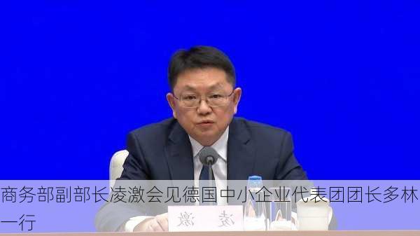 商务部副部长凌激会见德国中小企业代表团团长多林一行