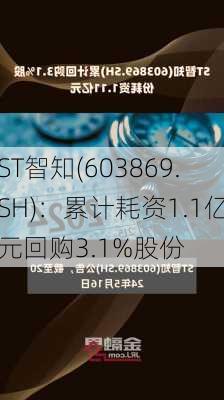 ST智知(603869.SH)：累计耗资1.1亿元回购3.1%股份