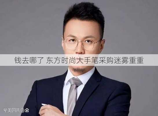 钱去哪了 东方时尚大手笔采购迷雾重重