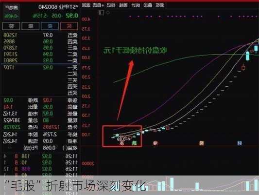 “毛股”折射市场深刻变化