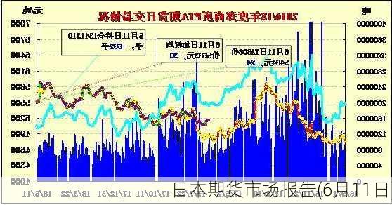 日本期货市场报告(6月11日)