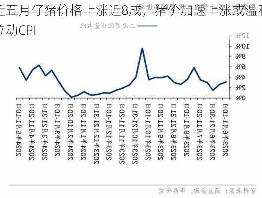 近五月仔猪价格上涨近8成，猪价加速上涨或温和拉动CPI