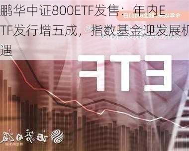 鹏华中证800ETF发售：年内ETF发行增五成，指数基金迎发展机遇