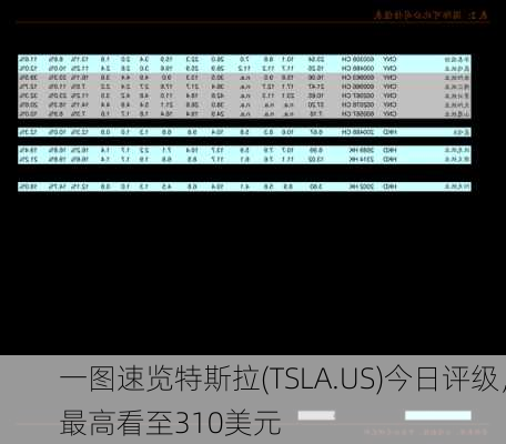 一图速览特斯拉(TSLA.US)今日评级，最高看至310美元