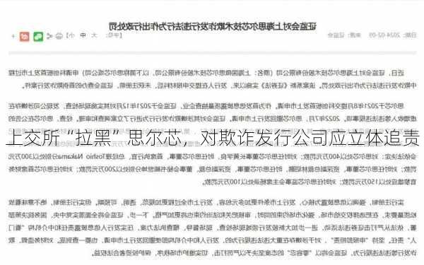 上交所“拉黑”思尔芯，对欺诈发行公司应立体追责