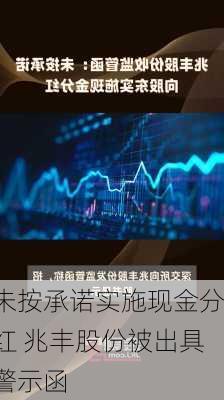 未按承诺实施现金分红 兆丰股份被出具警示函