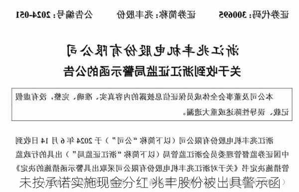 未按承诺实施现金分红 兆丰股份被出具警示函