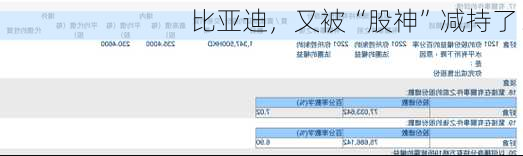 比亚迪，又被“股神”减持了！