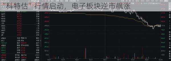 “科特估”行情启动，电子板块逆市飙涨