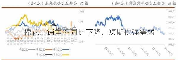 棉花：销售率同比下降，短期供强需弱