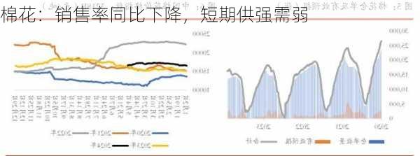 棉花：销售率同比下降，短期供强需弱