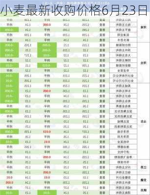 小麦最新收购价格6月23日