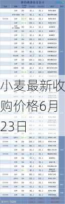 小麦最新收购价格6月23日