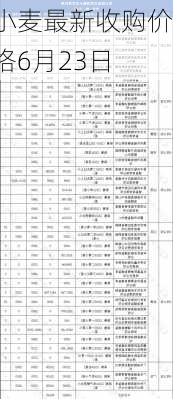 小麦最新收购价格6月23日