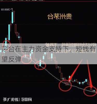 茅台在主力资金支持下，短线有望反弹