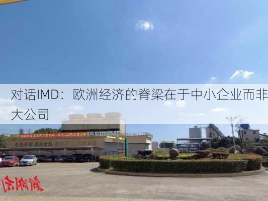 对话IMD：欧洲经济的脊梁在于中小企业而非大公司