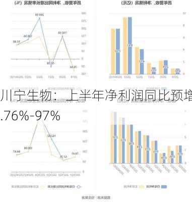 川宁生物：上半年净利润同比预增86.76%-97%