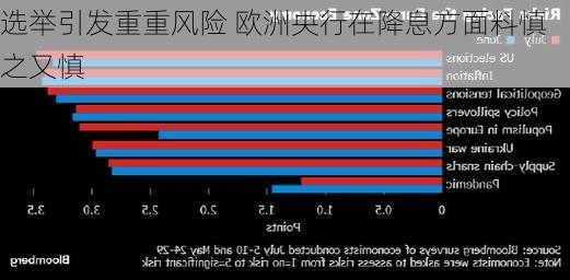 选举引发重重风险 欧洲央行在降息方面料慎之又慎