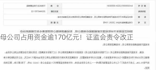 母公司占用资金逾170亿元！证监会责令改正