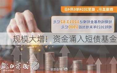 规模大增！资金涌入短债基金