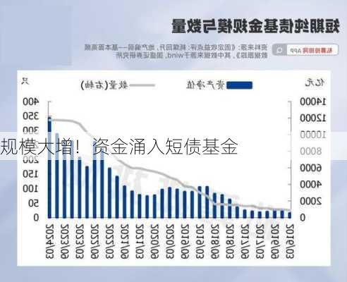 规模大增！资金涌入短债基金