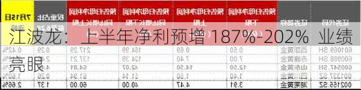 江波龙：上半年净利预增 187%-202%  业绩亮眼