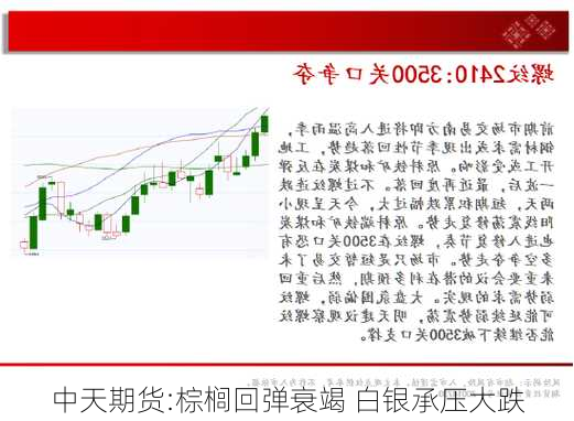 中天期货:棕榈回弹衰竭 白银承压大跌