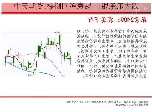 中天期货:棕榈回弹衰竭 白银承压大跌