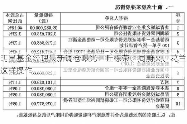 明星基金经理最新调仓曝光！丘栋荣、周蔚文、葛兰这样操作……