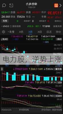 电力股，逆势上涨！