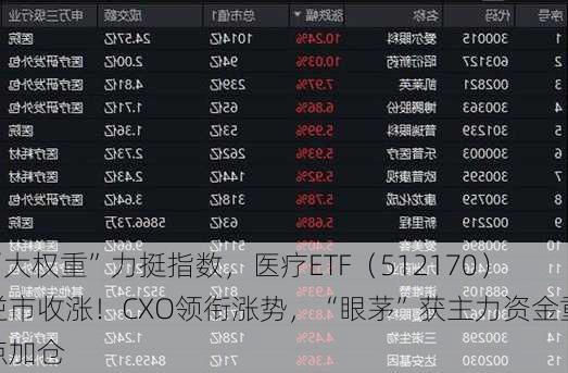 “大权重”力挺指数，医疗ETF（512170）逆市收涨！CXO领衔涨势，“眼茅”获主力资金重点加仓