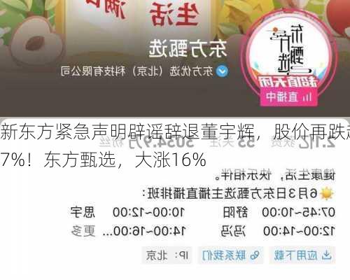 新东方紧急声明辟谣辞退董宇辉，股价再跌超7%！东方甄选，大涨16%