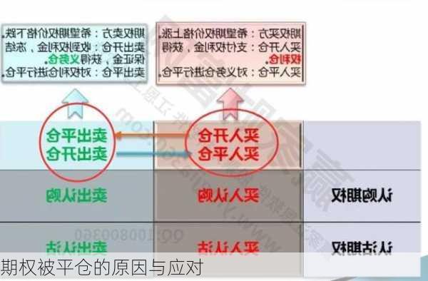 期权被平仓的原因与应对