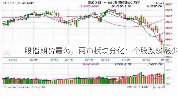 股指期货震荡，两市板块分化：个股跌多涨少