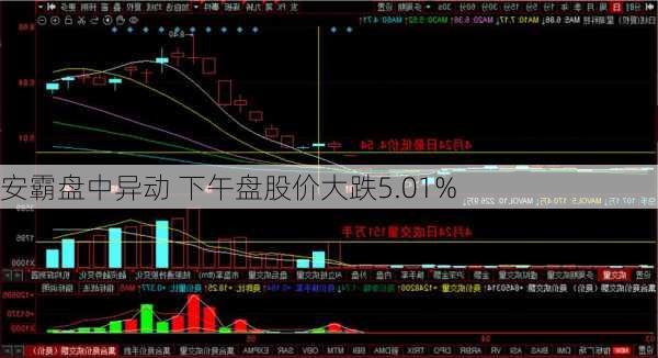 安霸盘中异动 下午盘股价大跌5.01%